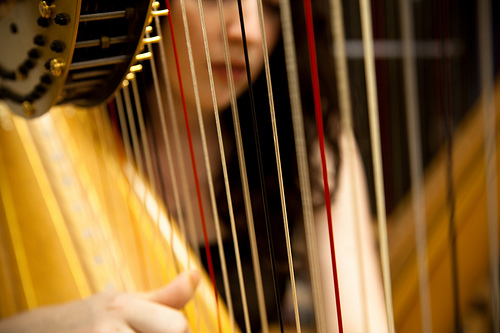 Los Angeles Harpist.